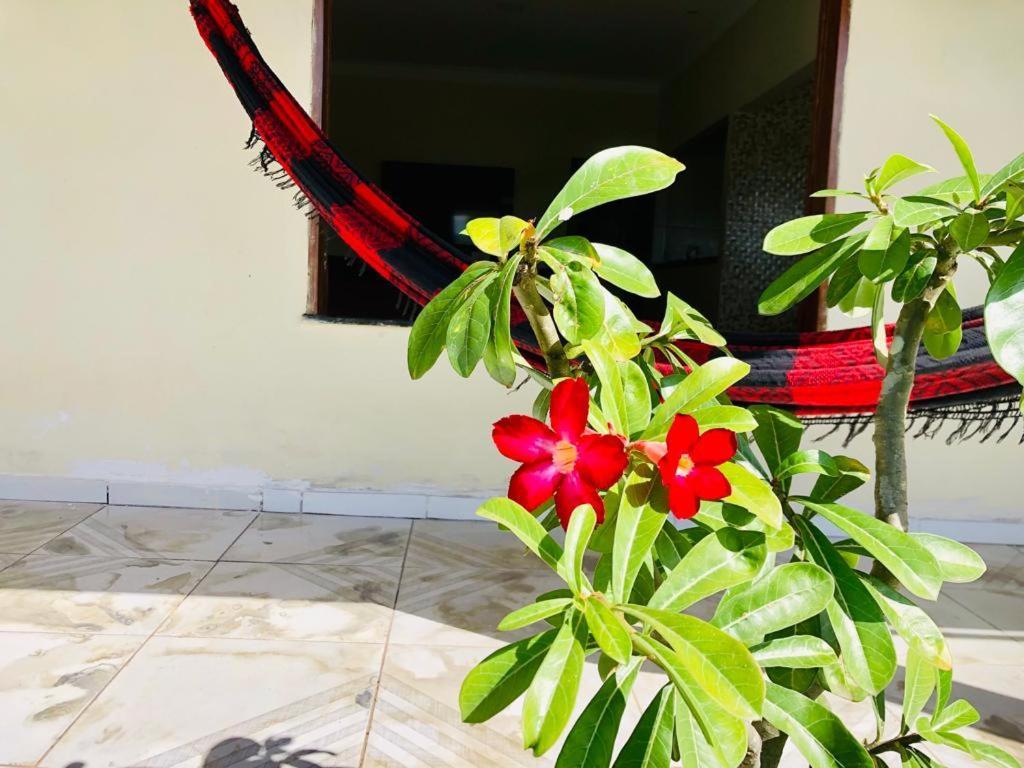 Casa Em Barreirinhas 01 Apartment ภายนอก รูปภาพ