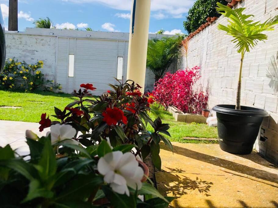 Casa Em Barreirinhas 01 Apartment ภายนอก รูปภาพ